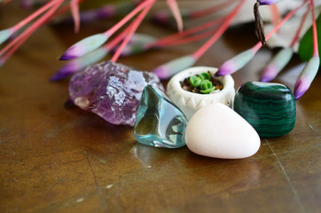 Mother of Thousands pups, baby plantlets in handmade ceramic pot. Miniature terrarium decoration with a collection of healing crystals. Aqua, Ametrine, Clear Quartz, and Fluorite. Beautiful colors