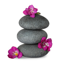 Obraz na płótnie Canvas Stack of grey spa stones and fresh flowers isolated on white