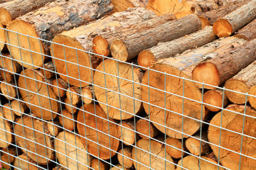 logs in a wire net