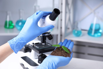 Scientist examining green plant with microscope in laboratory, closeup. Space for text