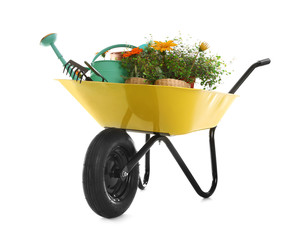 Wheelbarrow with flowers and gardening tools isolated on white