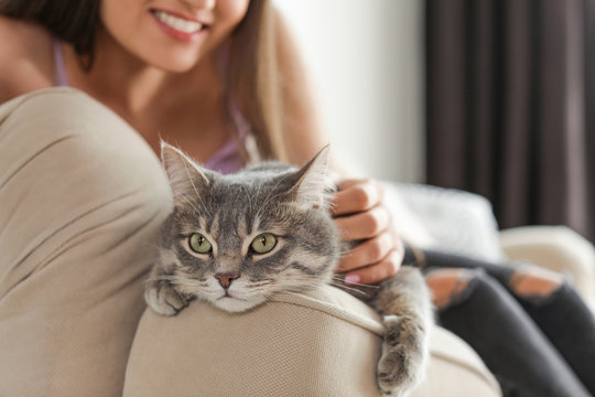 Young woman with cute cat at home, closeup. Pet and owner