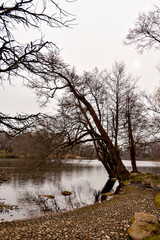 Garden at rural area in Germany