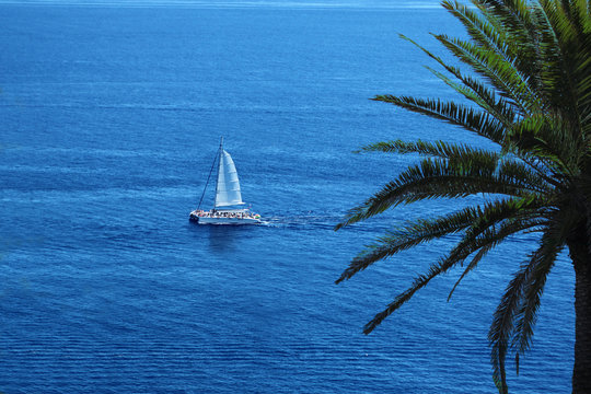 White Romantic Sailboat Sailing On The Beautiful Blue Water Of The Mediterranean Sea Against The Backdrop Of Palm Trees