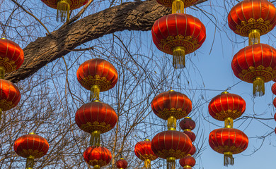 Several red chinese lanterns on a street with blu sky as background, at Beijing, China