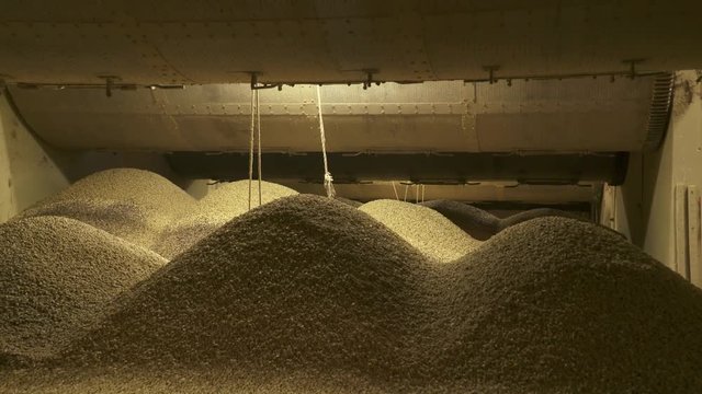 ws down row of rotating coffee drying cylinders