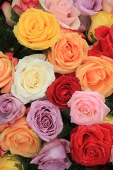 Mixed wedding roses