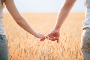 Young married couple holding hands in the sunset field background. Woman and man in love holding...