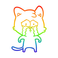 rainbow gradient line drawing cartoon crying cat