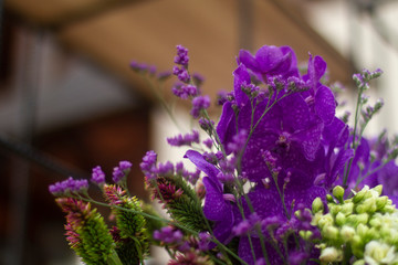 Naklejka premium bunch of lavender and purple orchid flower.