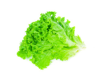 Lettuce. Salad leaf. Fresh lettuce leaves on white background