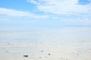 石垣島　海