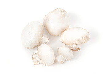 Fresh champignon mushrooms on white background