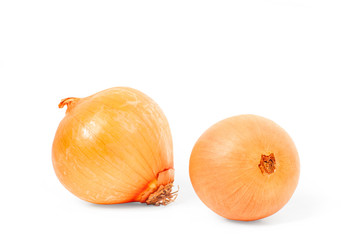 Fresh onion on white background