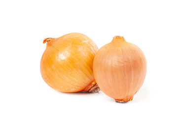 Fresh onion on white background