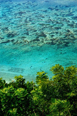 view of the coast with beach and coral at bukit in bali -indonesia