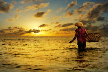 Sea weed farmer carrying bamboo basket  in the sea at sunset time © MICHEL