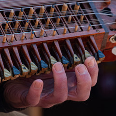 Naklejka premium Nyckelharpa 2