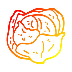 warm gradient line drawing cartoon cabbage
