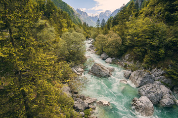 Soca river with alps in the background - Slovenia - obrazy, fototapety, plakaty