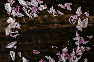 Closeup of scattered wilted petals on wooden background. Copy space.