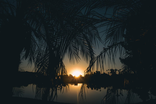 Sunset relaxation art image, palms frame sun setting on tropical water background.