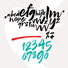 Handwritten font. Script. Latin calligraphic set