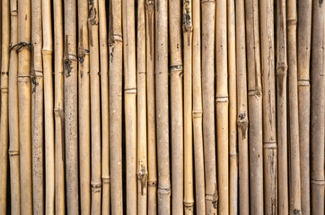 yellow bamboo wall background