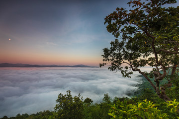 Pha-chom-mok, Landscape sea of mist on the mountain in Nongkhai province  Thailand.