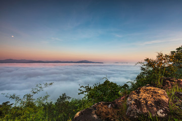 Fototapeta na wymiar Pha-chom-mok, Landscape sea of mist on the mountain in Nongkhai province Thailand.
