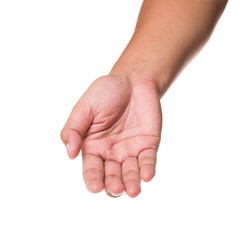 Hands holding something on isolated background with clipping path.