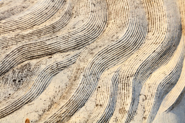 Animal hair texture stone carving