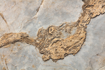 Rock texture