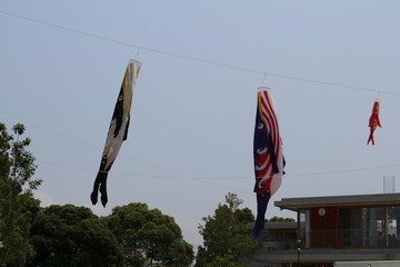 A carp streamer and a kindergarten