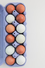 Brown chicken eggs in a blue carton box isolated on white background. Top view. Copy space