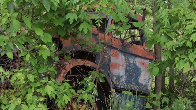 A rusted vintage truck with blue paint sits in a cove of trees, bushes, and leaves outside of a vineyard.