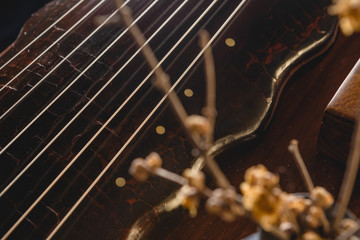 Interesting Plum Blossom and Guqin: Chinese Traditional Culture