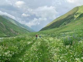 Obraz premium Russia, North Ossetia. Zrug gorge in June