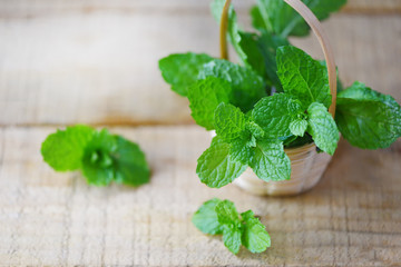 peppermint leaf in a wood basket - Fresh mint leaves on the wooden background for herbs and vegetable food natural