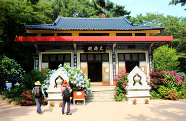 Obraz premium hydrangea suguk Festival in taejongsa buddhist temple, Taejongdae, Busan, South Korea, Asia