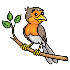 Bird Cartoon on the Branch