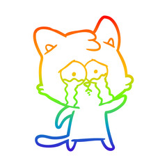 rainbow gradient line drawing crying cartoon cat