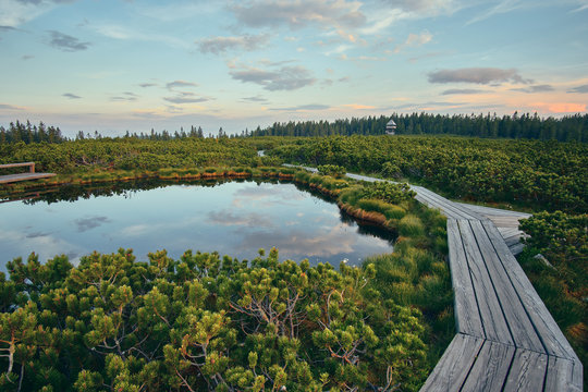 wooden path at Lovrenska lakes with the tower in the background - Slovenia