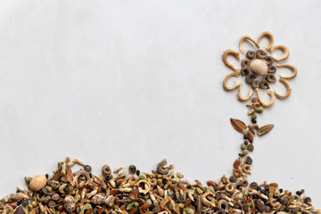 Blume mit Blüten aus Blumensamen arrangiert steht für die Kraft der Natur und Liebe zur Gärtnerei und zu Blumen und Blüten