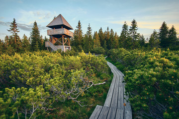 wooden path at Lovrenska lakes with the tower in the background - Slovenia