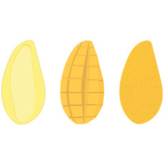 Set of mango in three types – half with a bone, cut, in a peel. Vector illustration. - 276052298