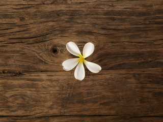Fototapeta na wymiar frangipani flowers on wood