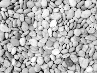 white pebble stone background