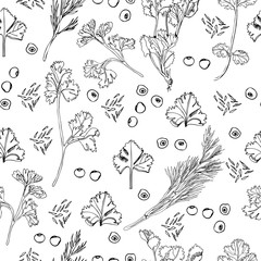 Seamless pattern of different herbs and spices. Hand drawn ink sketch isolated on white background.