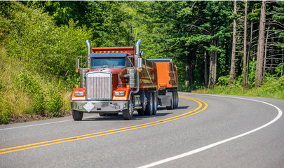 Big rig Brown tipper truck with two dump trailers running on the turning road in forest